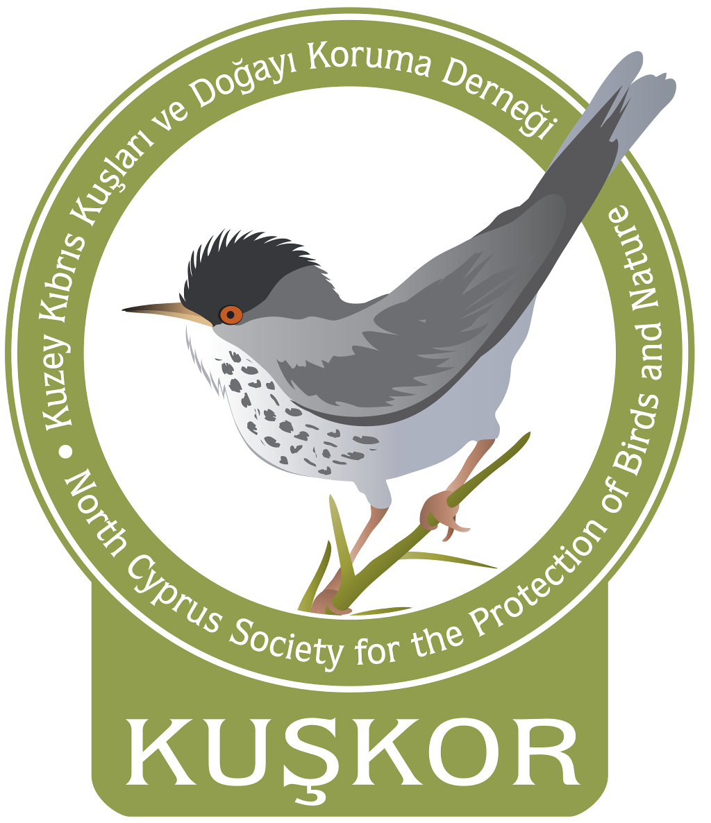 Kuskor logo