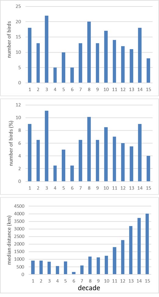 Fig. 1: Onset of prenuptial (return) migration of Eurasian Teal in the SW of Europe (southern France and the Iberian Peninsula) by decade. The upper graph shows the number of recoveries of birds that moved at least 100 km in northbound directions between the place of ringing and the place of recovery in each 10-days period between 1 January and 31 May (decades 1-15). The middle graph shows the proportion of recoveries of birds that moved at least 100 km in northbound directions for each decade, and the lower panel depicts the median distance of these birds travelled in each decade (total number of recoveries from the SW: 199).