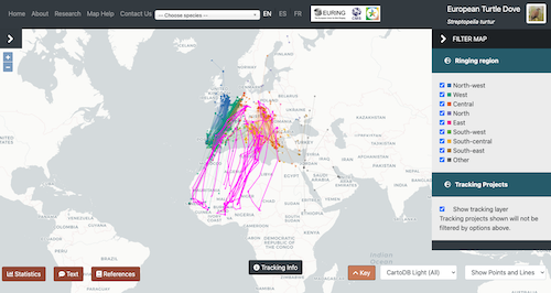 Example showing enabled tracking layer for Turtle Dove