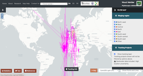 Example showing locational uncertainty associated with geolocator data for Wood Warbler